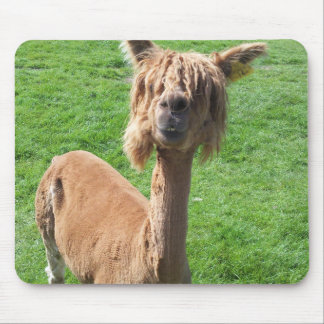 Mousepad Alpaca