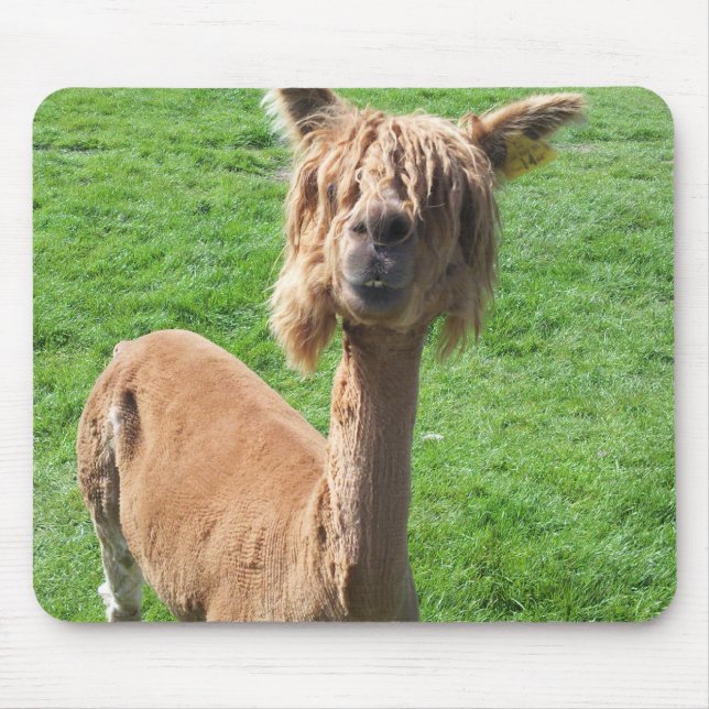 Mousepad Alpaca (Frente)