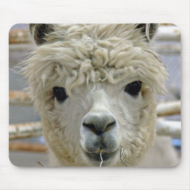 Mousepad Alpaca Adorável (Frente)