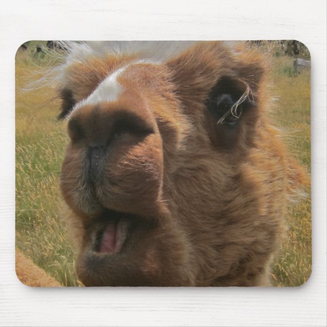 Mousepad Alpaca Chipper (Frente)