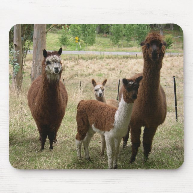 Mousepad Alpacas (Frente)