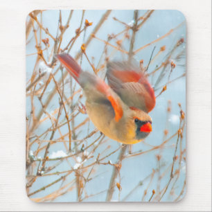 Mousepad alto