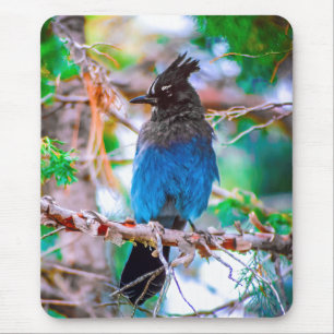 Mousepad alto