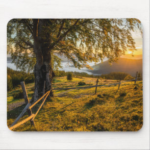 Mousepad Alvorecer enevoado em uma floresta