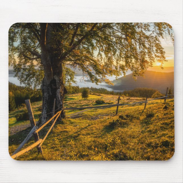 Mousepad Alvorecer enevoado em uma floresta (Frente)