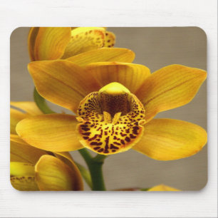 Mousepad amarelo da orquídea