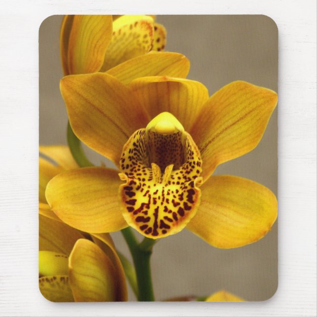 Mousepad amarelo da orquídea (Frente)