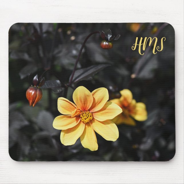 Mousepad Amarelo Dahlia Flores Wisley Gardens Monongram (Frente)