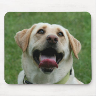 Mousepad amarelo de Labrador