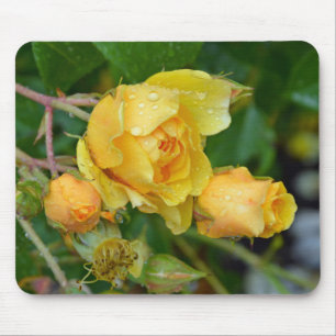 Mousepad amarelo do impressão dos rosas do