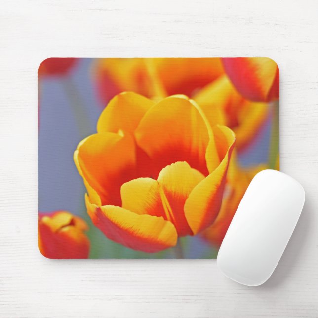 Mousepad Amarelo Elegante e Tulipa Vermelha (Com mouse)