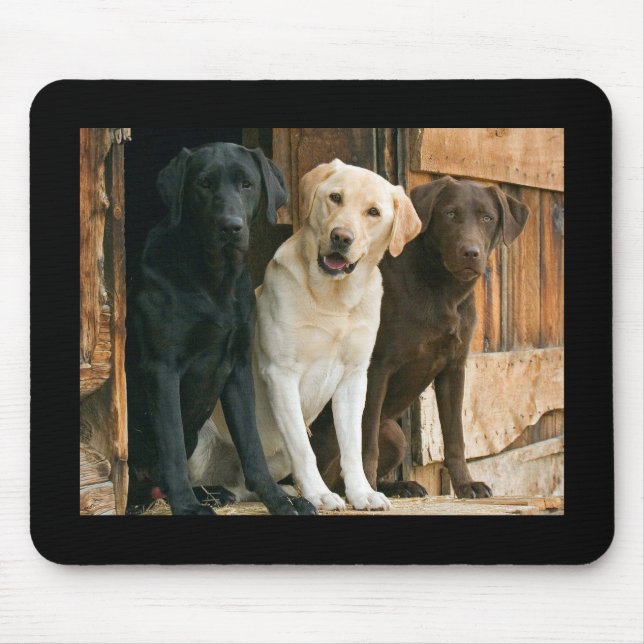 Mousepad Amarelo, Preto, Labrador Castanho Retriever Mousep (Frente)