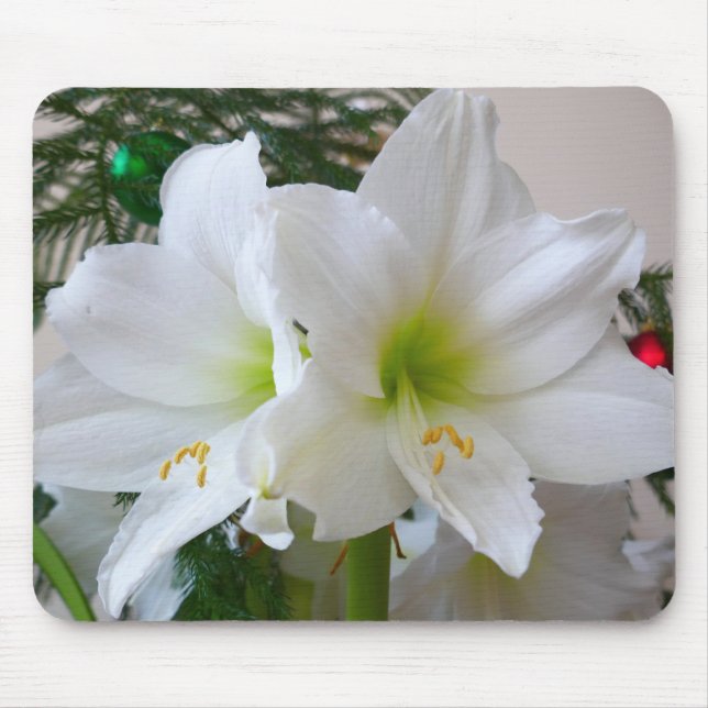 Mousepad Amaryllis Branca e Árvore de Natal (Frente)