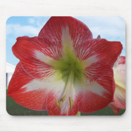 Mousepad Amaryllis Red e White MegaStar