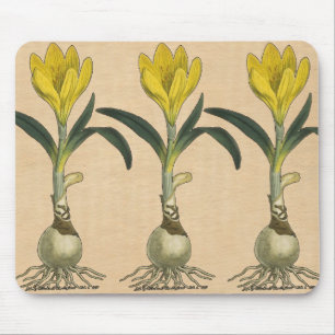 Mousepad Amaryllis Tulip Botanical Garden Flower
