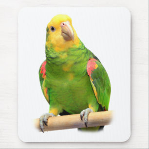 Mousepad Amazonas de cabeça amarela