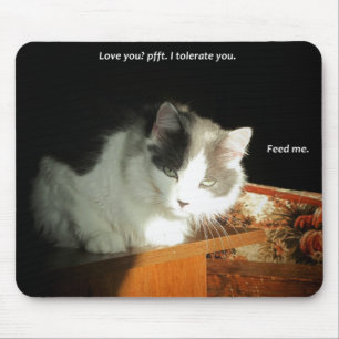 Mousepad Ame-o? Eu tolero-o