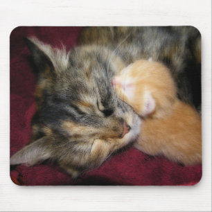 Mousepad Ame-o mamã