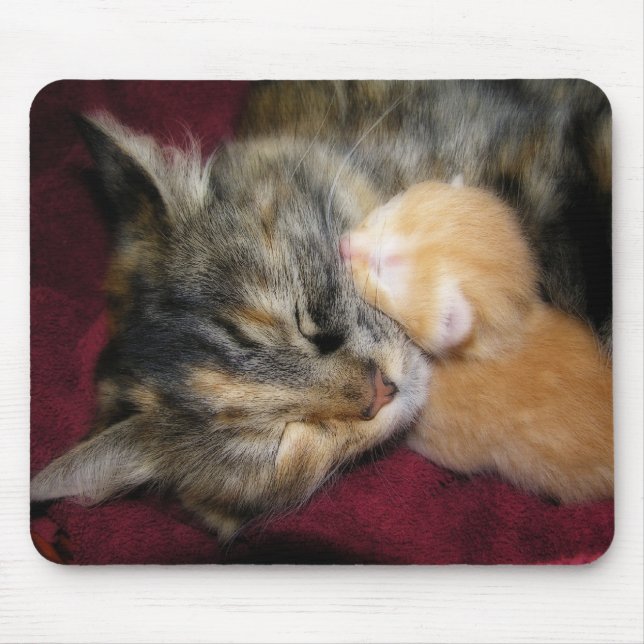 Mousepad Ame-o mamã (Frente)