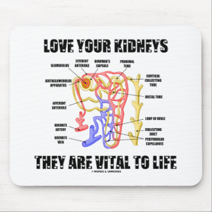 Mousepad Ame seus rins que são vitais à vida (Nephron)