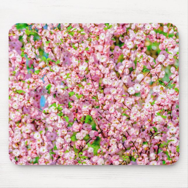 Mousepad Ameixa de Flor (Frente)
