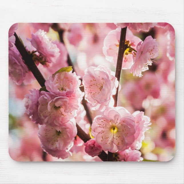 Mousepad Ameixa de Flor - Paradize Rosa (Frente)