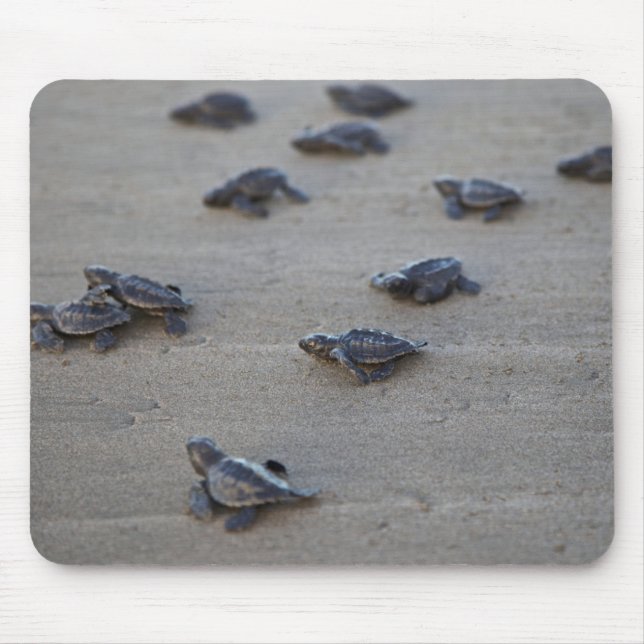 Mousepad América Central, El Salvador, Oceano Pacífico (Frente)