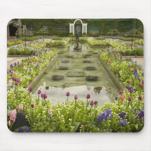 Mousepad América do Norte, Canadá, Colúmbia Britânica, 4 (Frente)