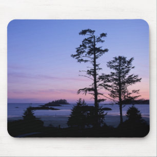 Mousepad América do Norte, Canadá, Ilha de Vancouver, árvor