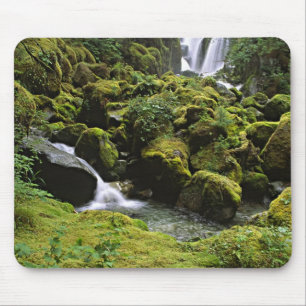 Mousepad América do Norte, EUA, Alasca. Uma cachoeira e