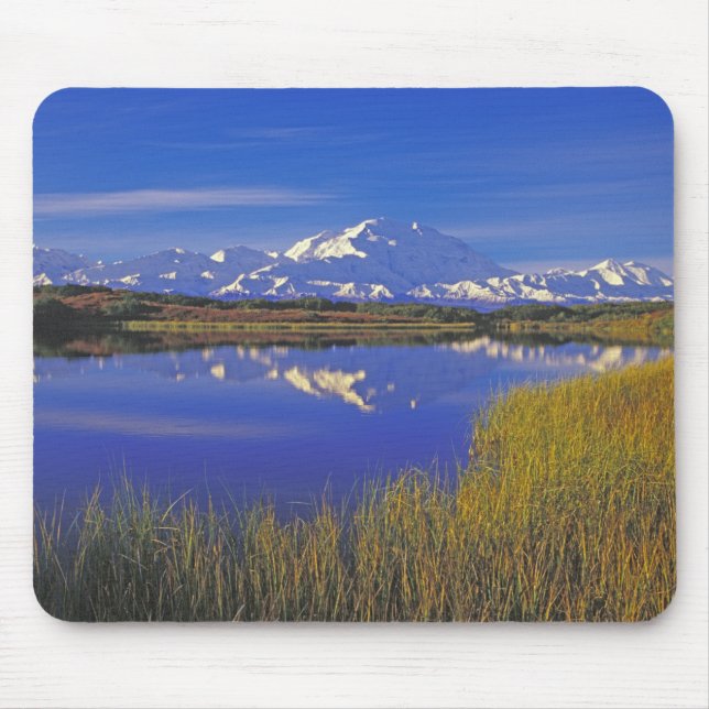 Mousepad América do Norte, EUA, Alaska, Denali NP, (Frente)