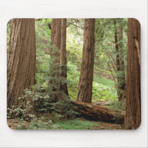 Mousepad América do Norte, EUA, Califórnia, Big Sur,