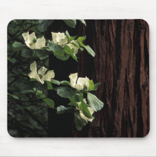 Mousepad América do Norte, EUA, Califórnia, Yosemite 2