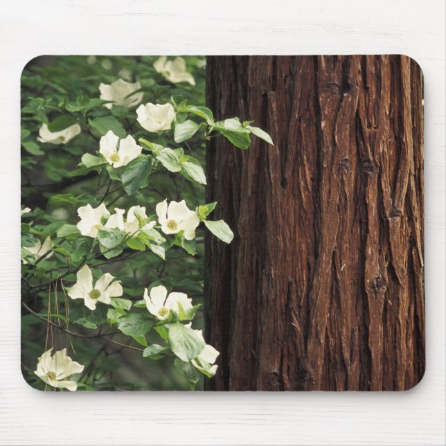 Mousepad América do Norte, EUA, Califórnia, Yosemite 3 (Frente)