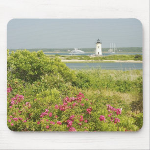 Mousepad América do Norte, EUA, Massachusetts, Martha's