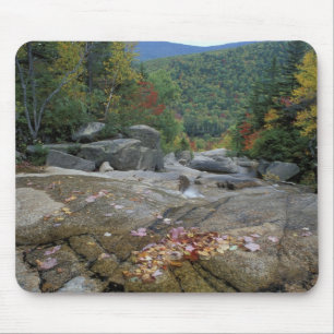 Mousepad América do Norte, EUA, NH, Folhagem de outono em N