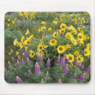 Mousepad América do Norte, EUA, Oregon, Rio Columbia