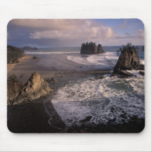 Mousepad América do Norte, EUA, Washington, Parque Nacional