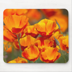 Mousepad América do Norte, EUA, Washington, Seattle