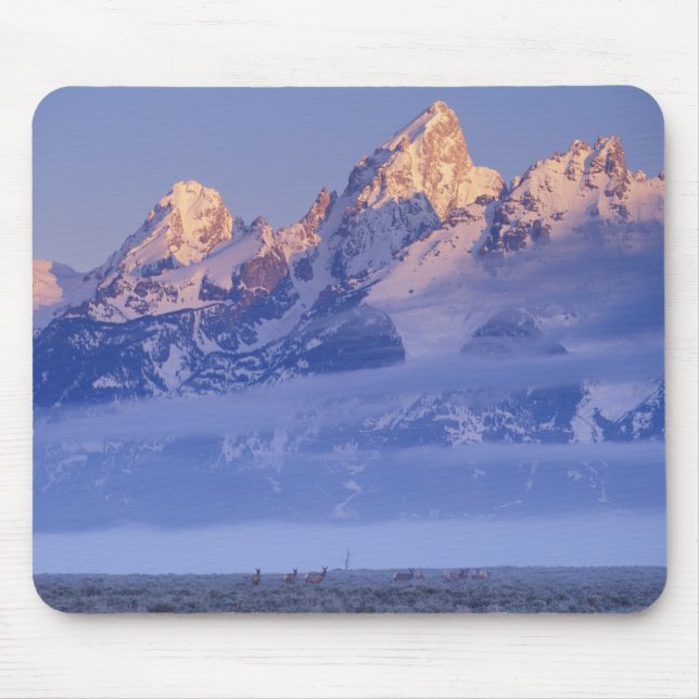 Mousepad América do Norte, EUA, Wyoming, Grand Teton NP, 2 (Frente)