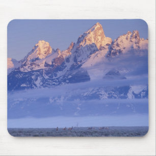 Mousepad América do Norte, EUA, Wyoming, Parque Nacional Gr