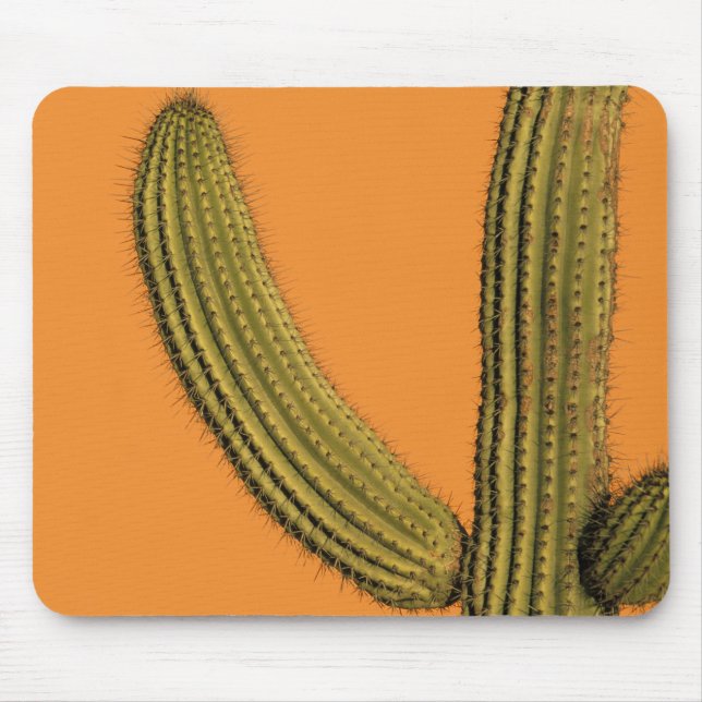 Mousepad América do Norte, México, Baixa Califórnia, Cabo (Frente)