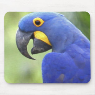 Mousepad América do Sul, Brasil, Pantanal