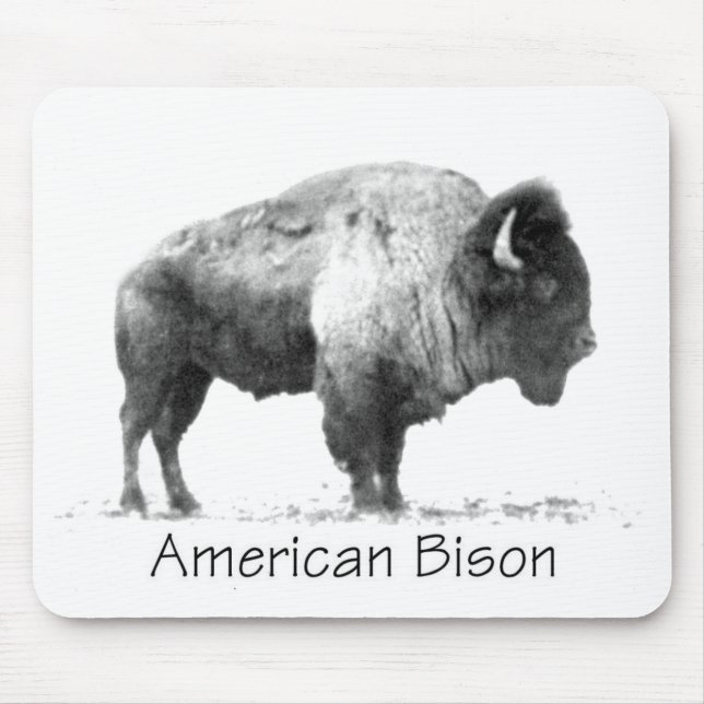 Mousepad American Bison (Frente)