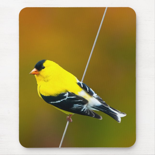 Mousepad American Goldfinch - Fotografia original (Frente)