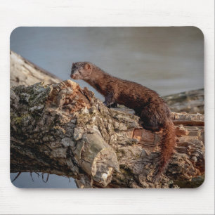 Mousepad American Mink