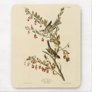 Mousepad American Tree Sparrow, Pássaros da América de Audu
