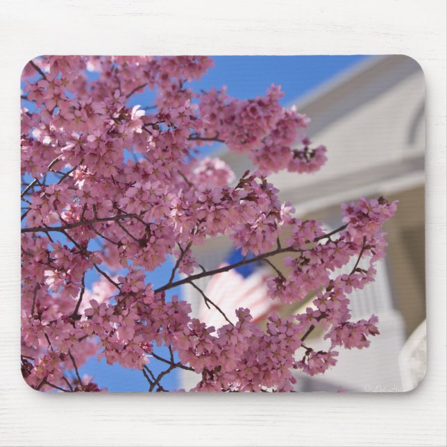 Mousepad Americana Sakura Cherry Blossoms (Frente)