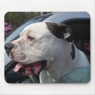 Mousepad Americano Bull