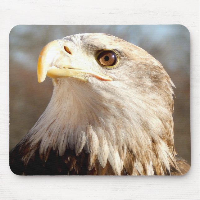 Mousepad Americano majestoso Eagle (Frente)